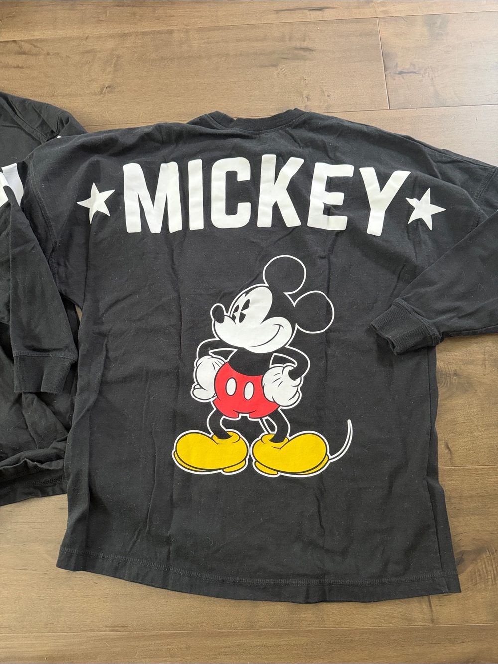 Disney Spirit Jersey- his and hers!